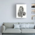 thumbnail image 3 of Elena Bolgova 'Green-Eyed Cat' Canvas Art, 3 of 3