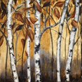 thumbnail image 2 of Pinto, Patricia 15x15 White Modern Wood Framed Museum Art Print Titled - Birchwood Trees on Gold I, 2 of 4