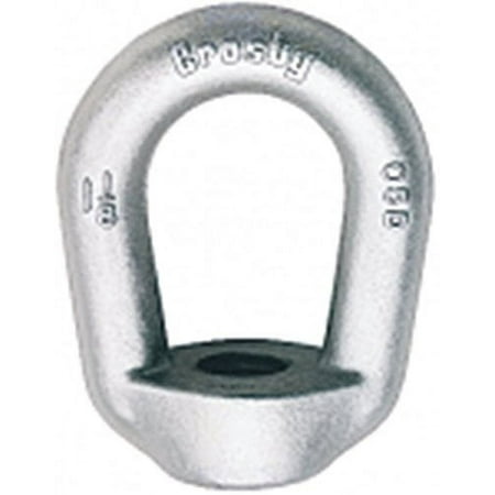 

Eye Nut Forged Carbon Galvanized 1 Tap Working Load Limit: 10000 lb 5.01 Length x 4 Width