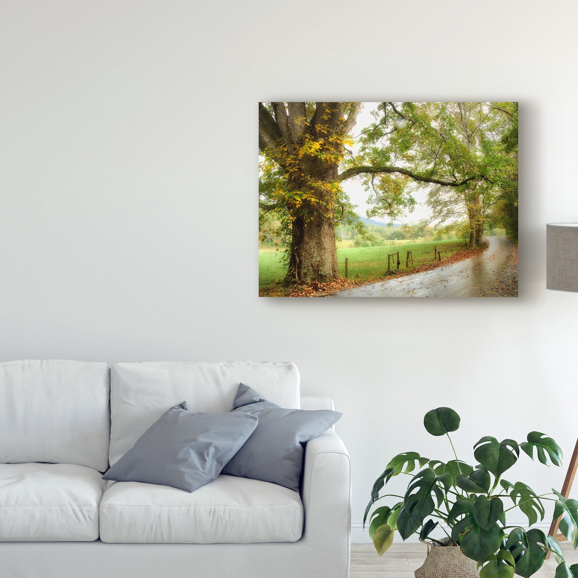 Trademark Fine Art 'Wet Path' Canvas Art by Danny Head