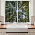 thumbnail image 2 of Ambesonne Nature Kitchen Curtains, Jungle Moss Forest Trees, 55"x39", Forest Green Sky Blue, 2 of 3