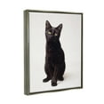 thumbnail image 5 of Stupell Industries Cute Black Cat Expressive Eyes Pet Portrait Luster Gray Framed Floating Canvas Wall Art, 16x20, by Marika Moffit, 5 of 5