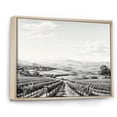 thumbnail image 2 of Designart "Beautiful Vineyard Panorama IV" Vineyard Floater Framed Canvas Wall Art, 2 of 5