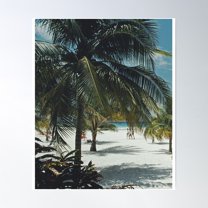 Vanity Fairâ€ Around The World With Slim Aarons And His Never-Before-Seen ...Â€ Poster Wall Art, Modern Wall Decor For Living Room Bedroom, 24x36 UNFRAMED