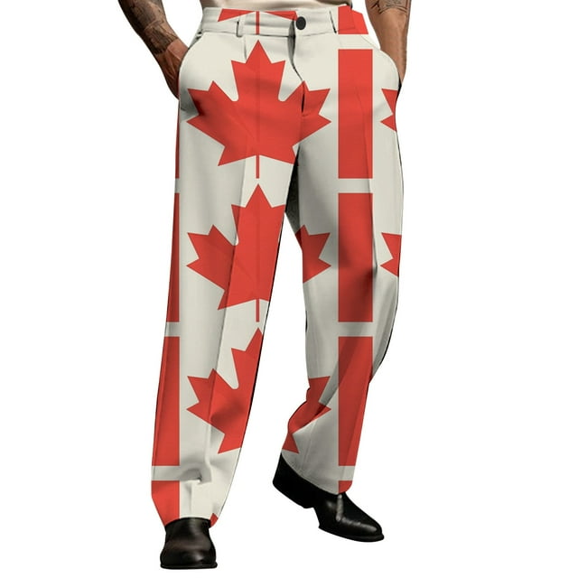 Pantalon Habillé Classique Décontracté pour Hommes, Confortable pour un Usage Quotidien, Polyvalent, Toutes Saisons, Design Érable Non Extensible