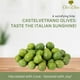 thumbnail image 2 of LZHF Castelvetrano Green Italian Olives - Vacuum Packed and Less Salty - Buttery and Tender Taste - Vibrant and Fresh Color - 1lb Pack (Drained Weight) - Imported from Sicily-Italy, 2 of 4