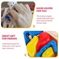 thumbnail image 4 of CNKOO 1 Set Human Torso Model Human Body Organs Model Assembly Toy Anatomy Doll, 4 of 6
