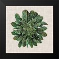 thumbnail image 2 of Vision Studio 20x20 Black Modern Framed Museum Art Print Titled - Spherical Leaves I, 2 of 5