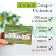 thumbnail image 2 of Pranarom - Aromatic Escapes Diffusion Blend Kit - Enhancing Ambiance with Essential Oils - 100% Pure Essential Oils - Sustainably Sourced, Certified Organic Ingredients - Mediterranean Inspired Scent, 2 of 6
