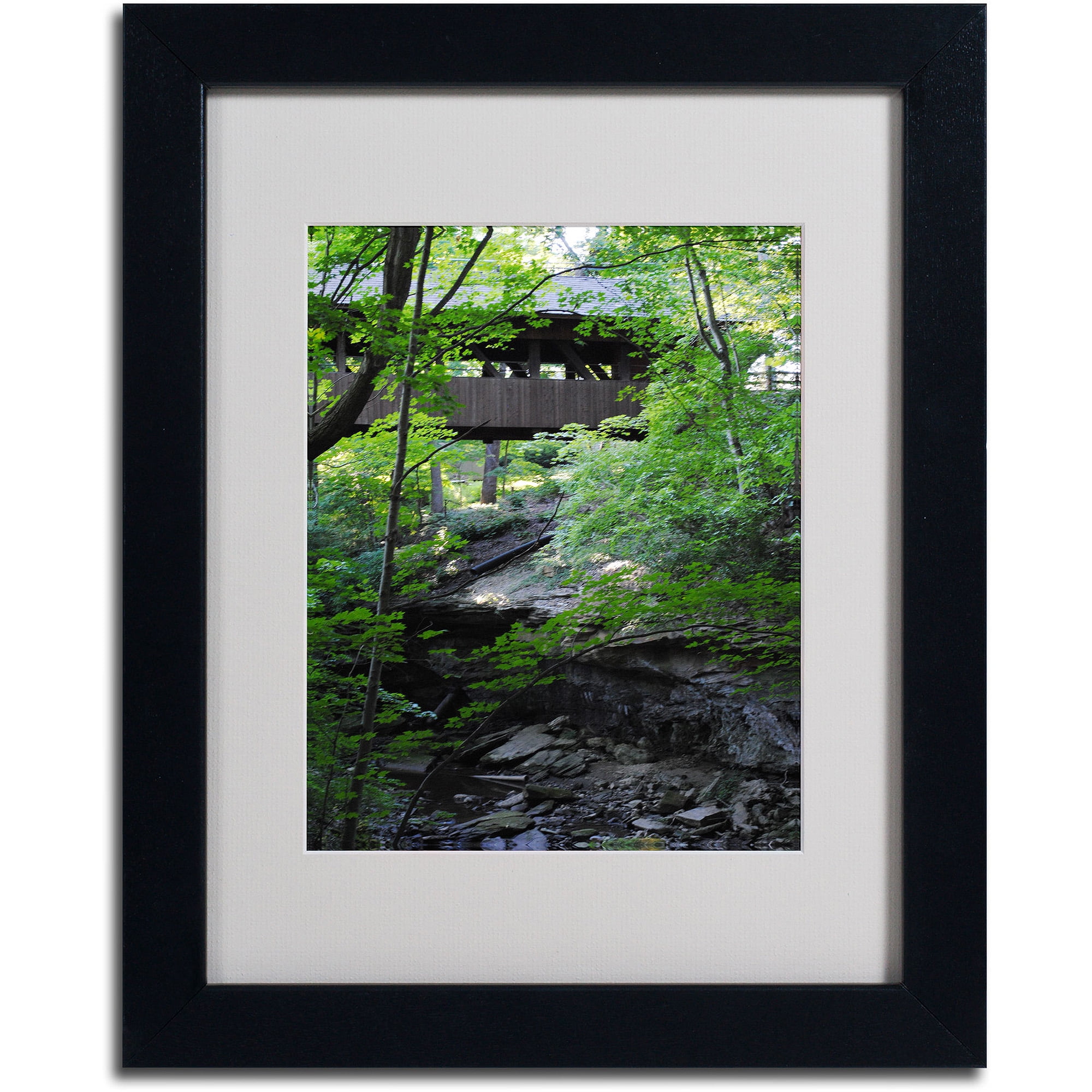 Trademark Fine Art "Latent Bridge" by Monica Fleet, Black Frame