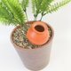 thumbnail image 3 of Juego de 4, goteo para plantas y jardineras de interior, globo de riego, amarillo, verde, rosa, naranja TUNC Sencillez, 3 of 5