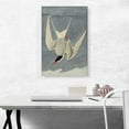 thumbnail image 2 of ARTCANVAS Arctic Tern Canvas Art Print by John James Audubon - Size: 26" x 18" (0.75" Deep), 2 of 9