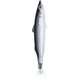 thumbnail image 1 of Bolígrafos creativos con forma de pez | Bolígrafos realistas con decoración de peces | Diseños únicos con temática de peces, 1 of 5