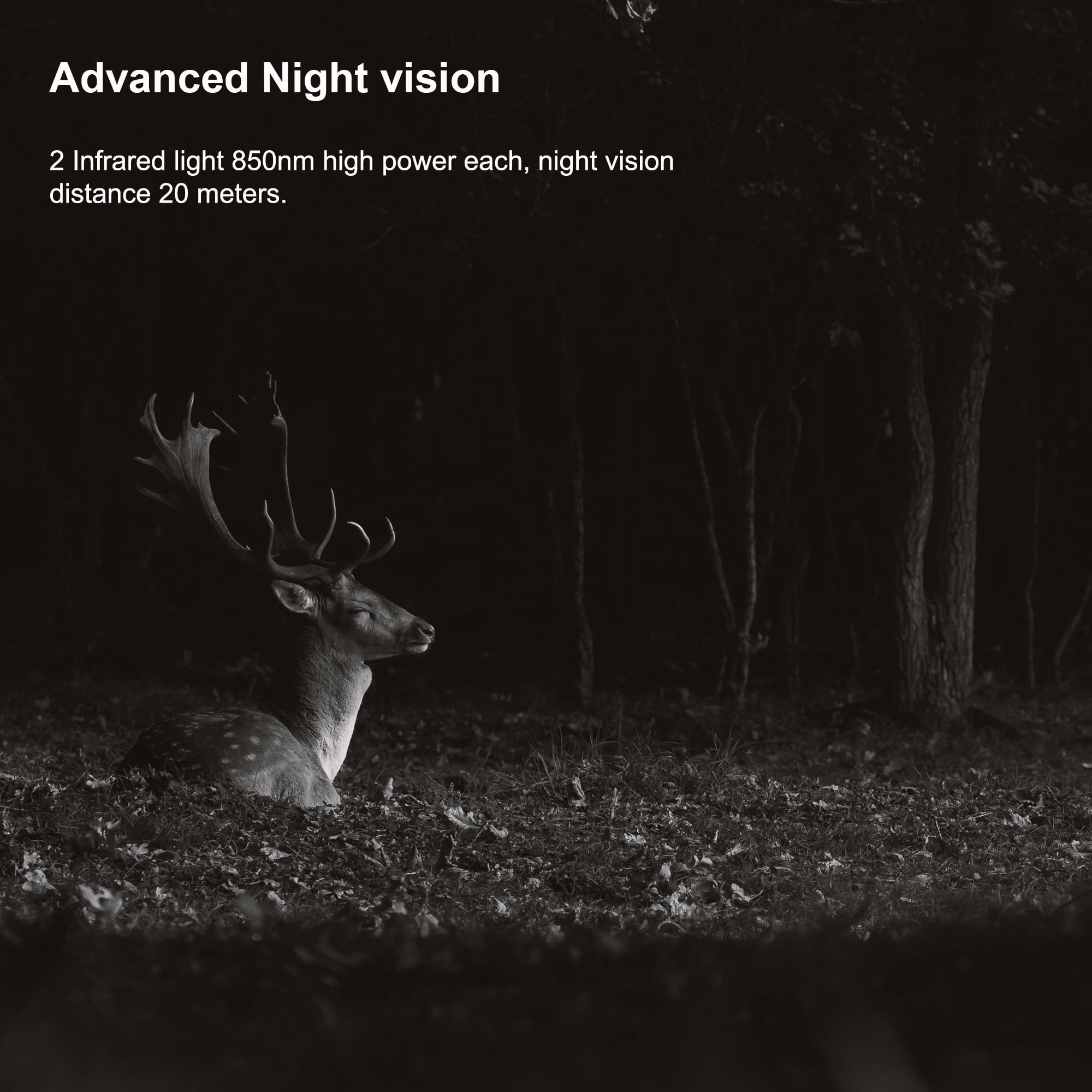 Rexing H2 20MP 4K Wi-Fi Trail Surveillance Camera for Outdoor, Hunting Cam W/ CMOS Motion Sensor