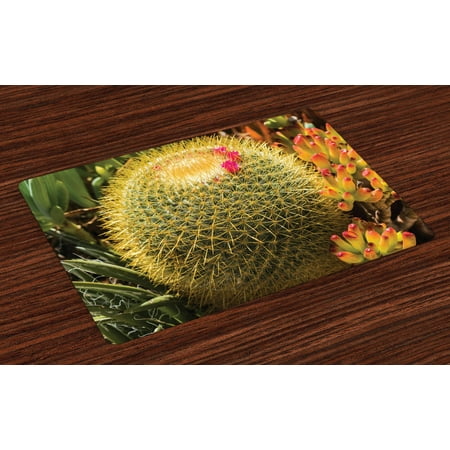 

Cactus Placemats Set of 4 Photo of Cactus Plant Flower with Spike Botanical Desert Garden Floral Image Washable Fabric Place Mats for Dining Room Kitchen Table Decor Green and Pink by Ambesonne