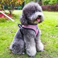 thumbnail image 6 of Small dog strap, dog vest strap, pet chest strap, small dog suffocation-free breathable stride strap, 6 of 6