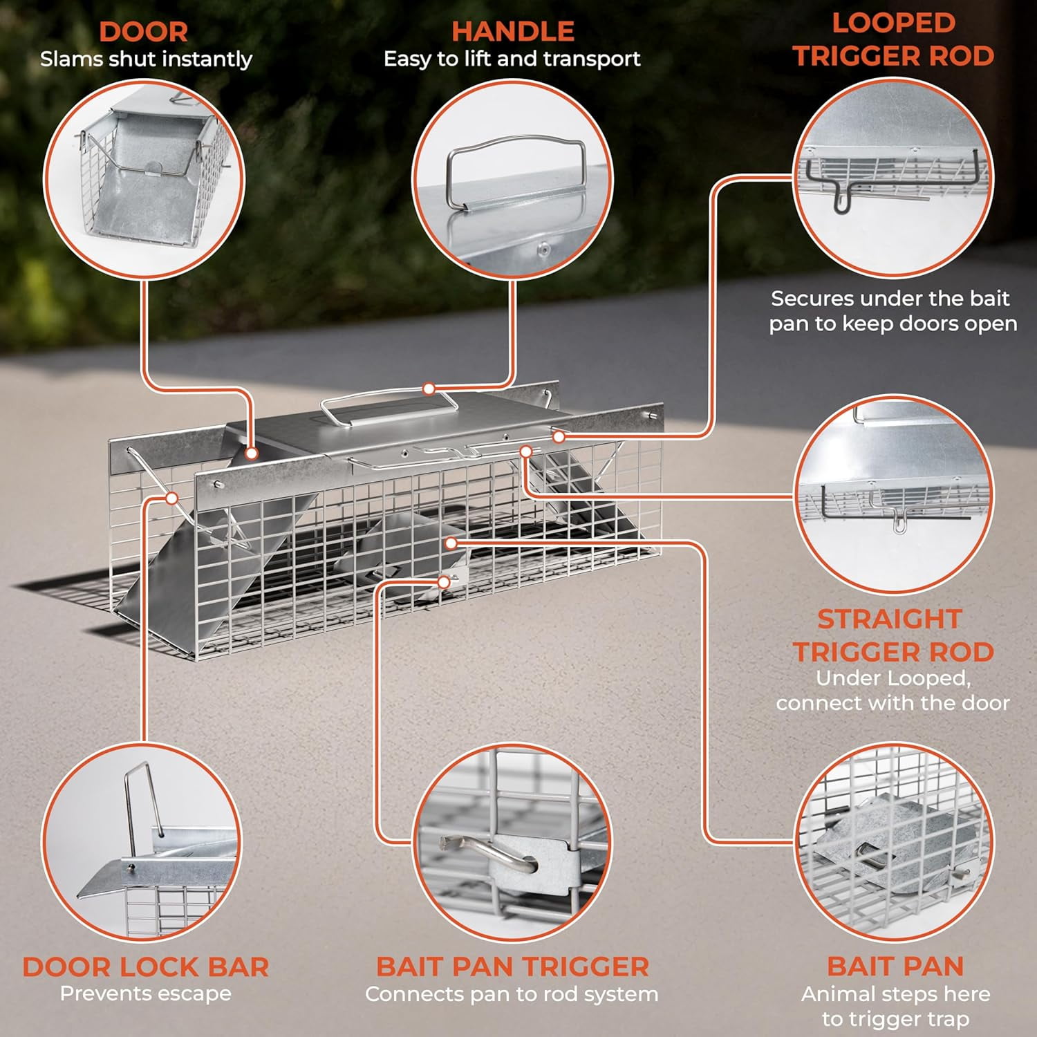 HOMESTEAD Live Rat Trap Indoor/Outdoor, Humane Live-Catch Cage Trap for Squirrel, Chipmunk, Small Rabbit, Weasel & Similar-Size Rodents, 18" x 5" x 5", 2 Doors, Fully Assembled