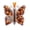 U, variant on Halloween Butterfly Acrylic Cash Holder Ornament, Tree Hanging Money Gift Keepsake, Sold Individually