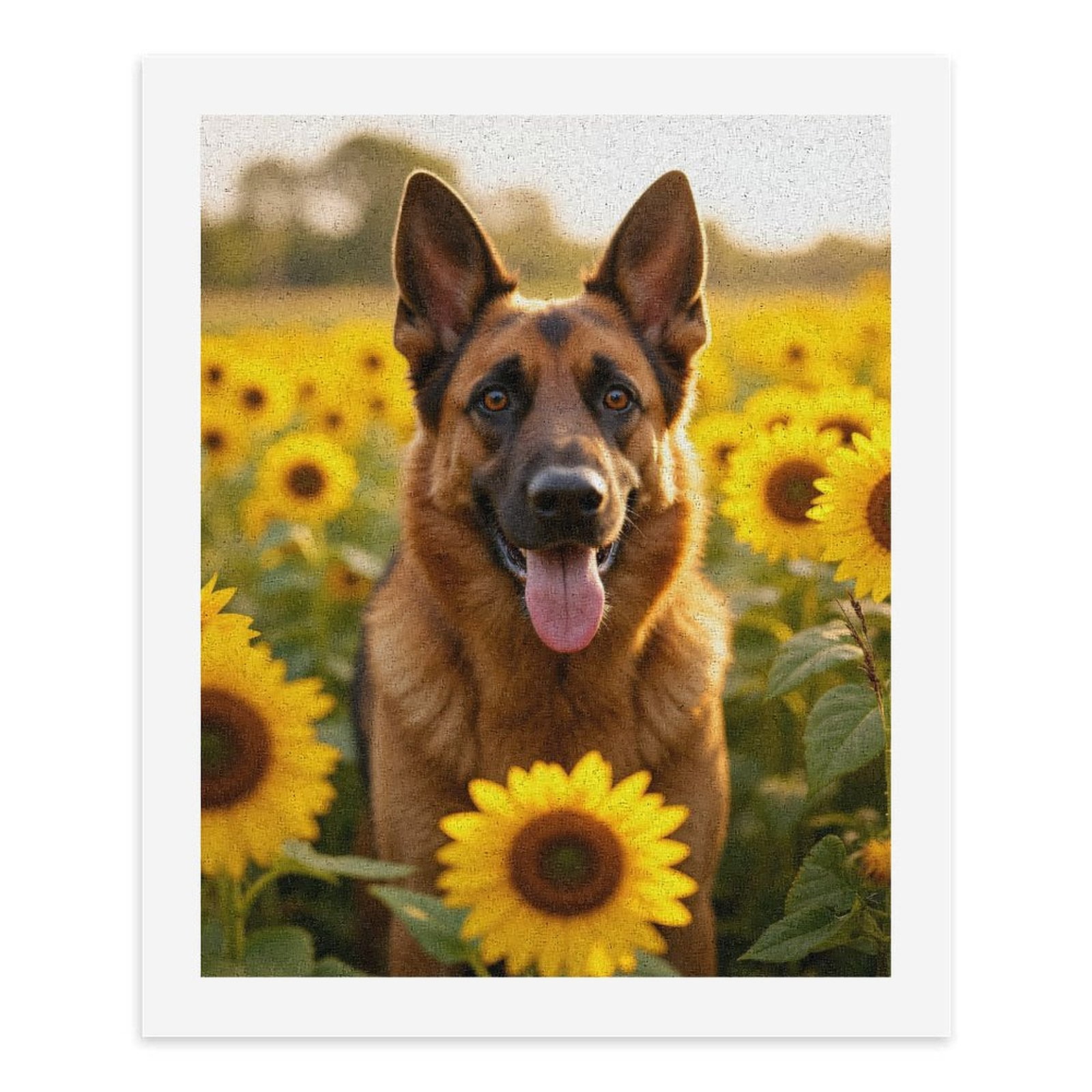 Paint By Numbers Kit for Adults Beginner - DIY German Shepherd Sunflower Field Canvas Painting Kits for Adults, Frameless Paint By Number for Adults for Home Wall Decor 16x20 Inch