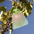 thumbnail image 5 of BEMS-50 Uds. Bolsas de red de frutas verdes de 15x20cm, protección de plantas de jardín, 5 of 5