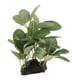 thumbnail image 3 of Plantas Plantas Artificiales Plantas Acuáticas Plantas Decorativas para Acuario Terrario Zulema  Plantas de agua de vivero de reptiles, 3 of 8
