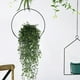 thumbnail image 1 of Simulated Rattan Wall Mounted Wedding/banquet/home Balcony/corridor Hanging Decoration Scene Layout, 1 of 6
