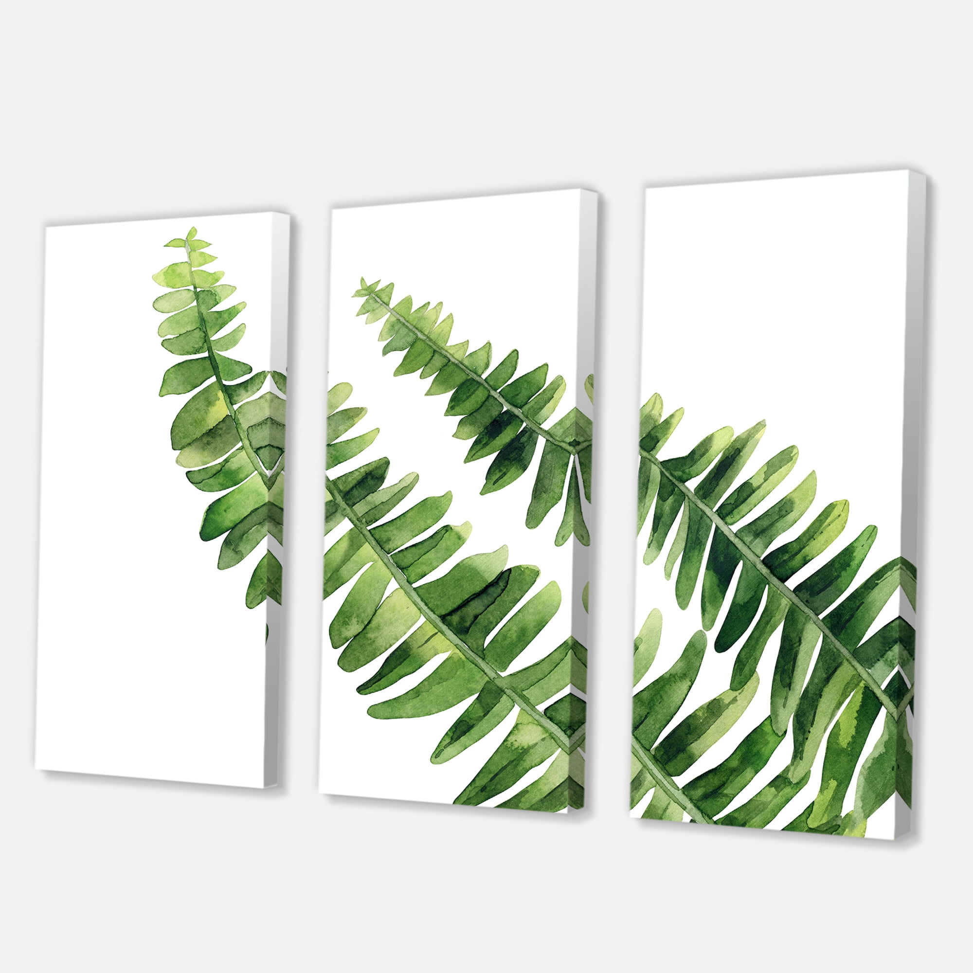 Designart ' Fern Plant Leaves Detail I ' Farmhouse Canvas Wall Art Print