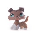 thumbnail image 1 of Figurines d'action de haute qualité pour fille, jouets pour petits animaux de compagnie, Collie Dog Collection, chat court, Original zhangyuxiang LED, 1 of 1