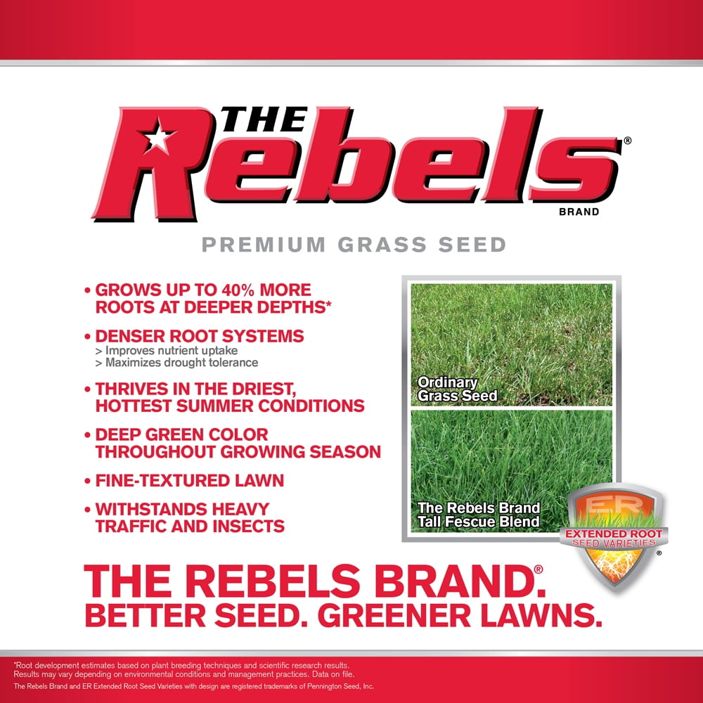 Pennington Rebels Tall Fescue Grass Seed, Sun to Partial Shade, 20 lb.