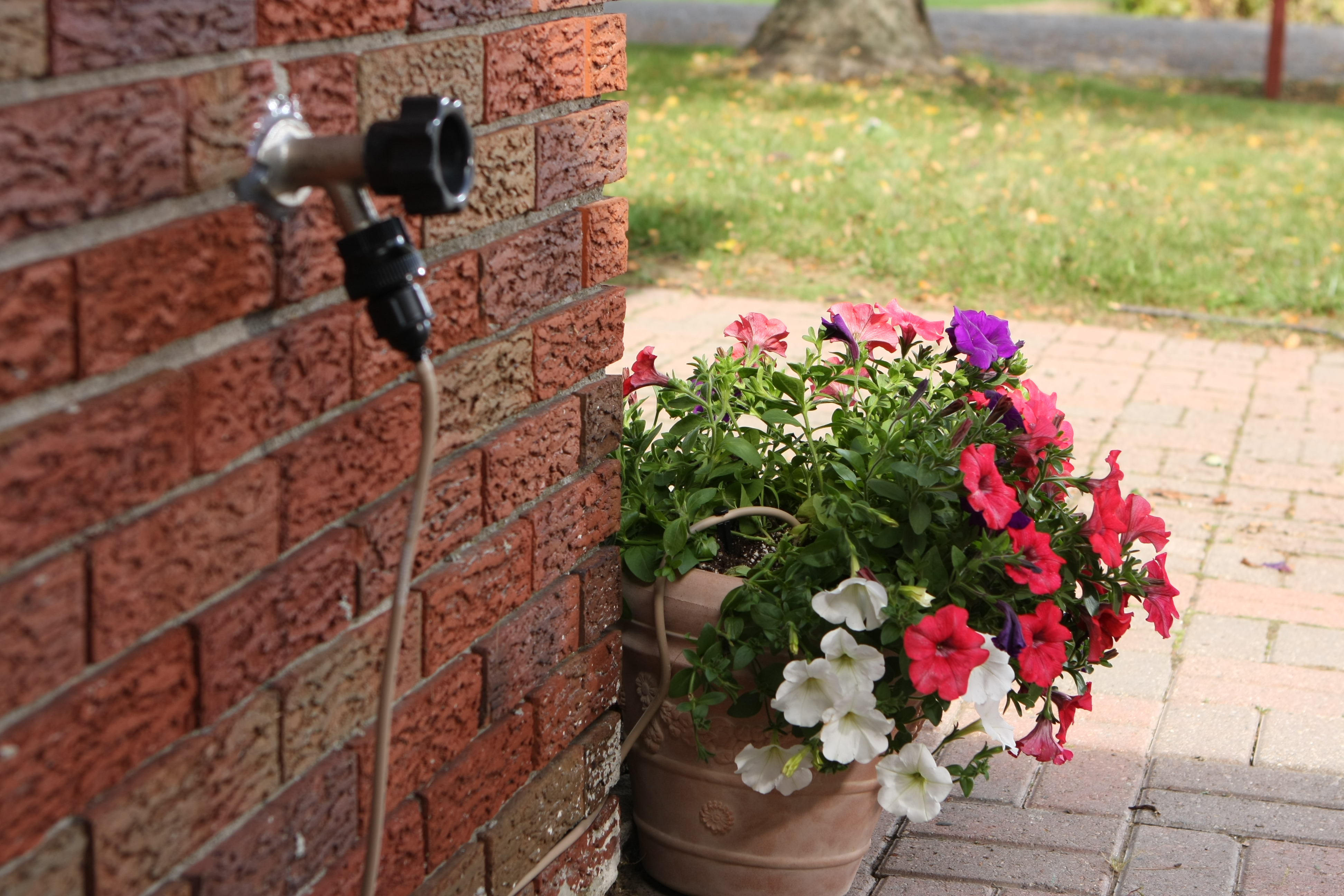Proven Winners WaterWise Drip Irrigation System
