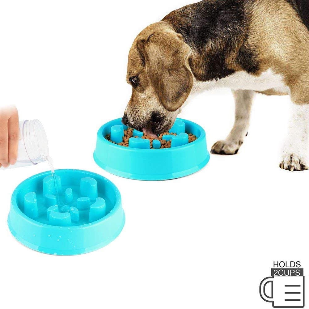 Fordawn Pet Fun Feeder Dog Bowl Slow Feeder Bloat Stop Dog Food