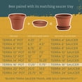 thumbnail image 4 of Bloem Terra Pot Planter 16 in. Terra Cotta, 4 of 9