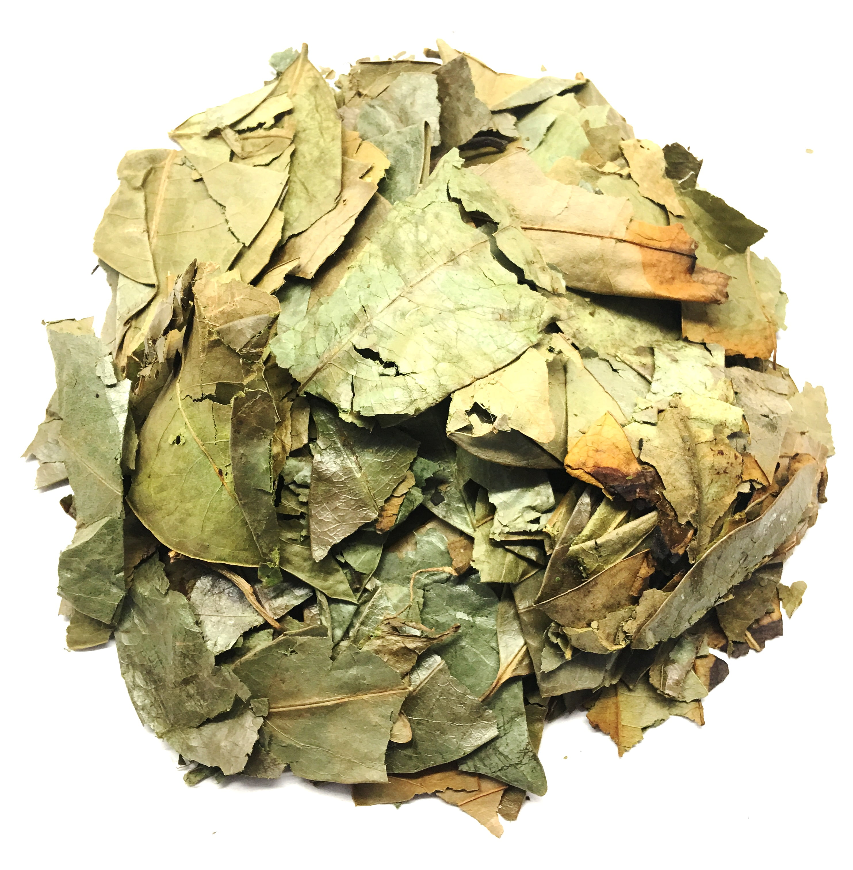 Buy Soursop Leaves Hoja de Guanabana Herbal Infusion Value Pack (105g