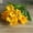 Yellow, variant on SPRING PARK 1Pc 24 Heads Artificial Lily Flowers for DIY Bridal Wedding Bouquet Centerpieces Home Decor