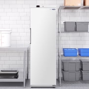 23 in. Commercial Auto-Defrost Reach-In Freezer ,12 cu. ft. in White (KM-RIF-1D12C-WH)