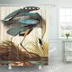 thumbnail image 1 of Cortina de Ducha ABPHQTO Pájaro Azul Vintage Audubon 150x180 cm, 1 of 1