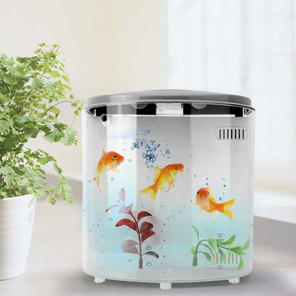 fish tanks fish tanks