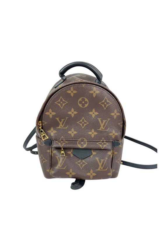 Pre-Owned Louis Vuitton Palm Springs Mini Monogram Backpack Bag