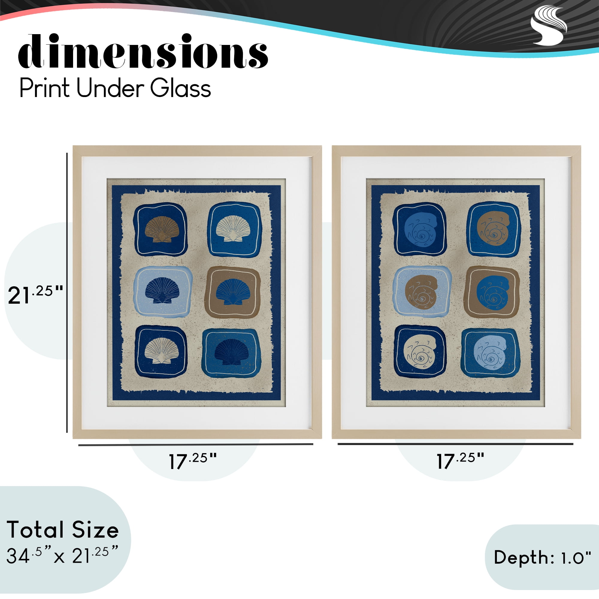Stupell Industries Blue Blocked Seashells 2 Piece Birch Framed Print Under Glass Set, design by Julia Frost