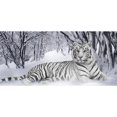 thumbnail image 1 of Pintura de diamante 5D Hugtrwg Taladro cuadrado completo Tigre blanco Para estrenar, 1 of 9