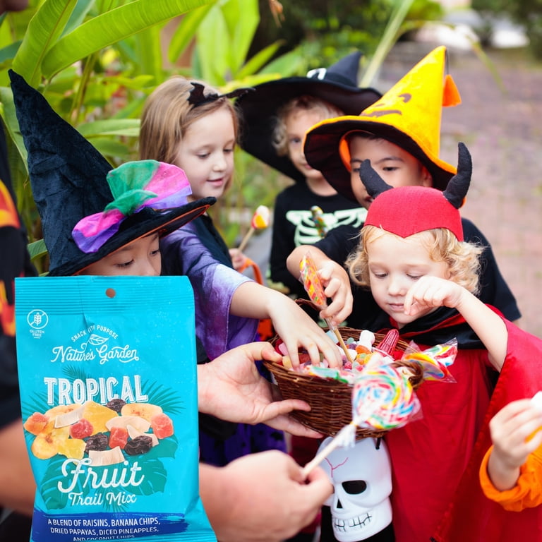 Nature's Garden Tropical Fruit Trail Mix Snack 4 Oz 3 Pack
