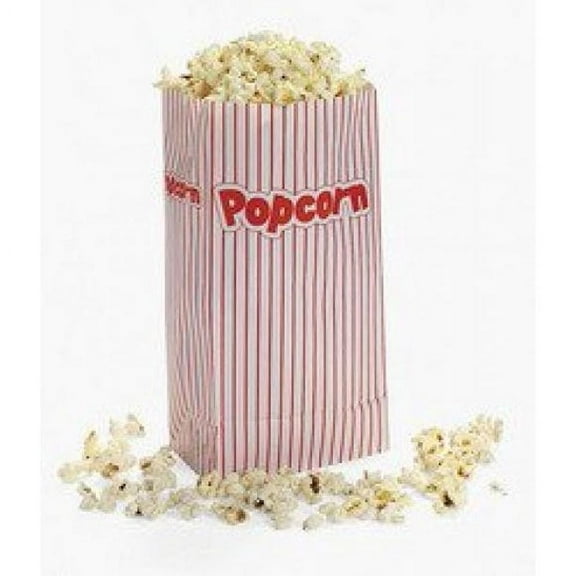 Popcorn Paper Bags - Party Supplies - 12 Pieces