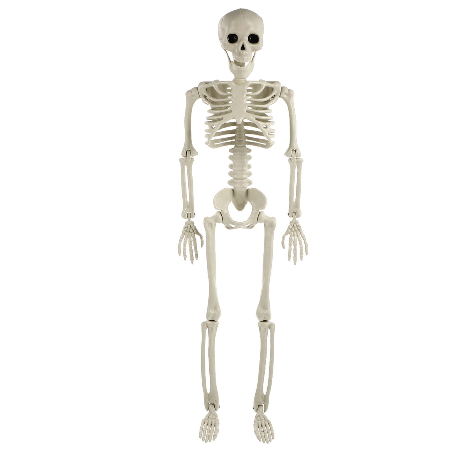 Skeleton Halloween Full Decor Human Posable Body Decorations Skull Props Model Haunted House