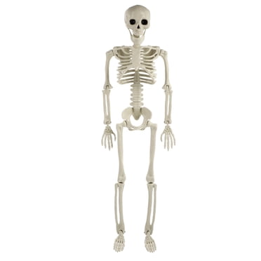 MasteelfCA 1pc Skeleton Simulation Human Body Decoration Prop Realistic Body Bone Ornament