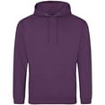 thumbnail image 1 of Awdis Sweat à Capuche Adult College, 1 of 2