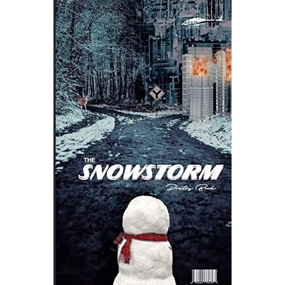 Pre-Owned The SnowStorm, (Paperback)