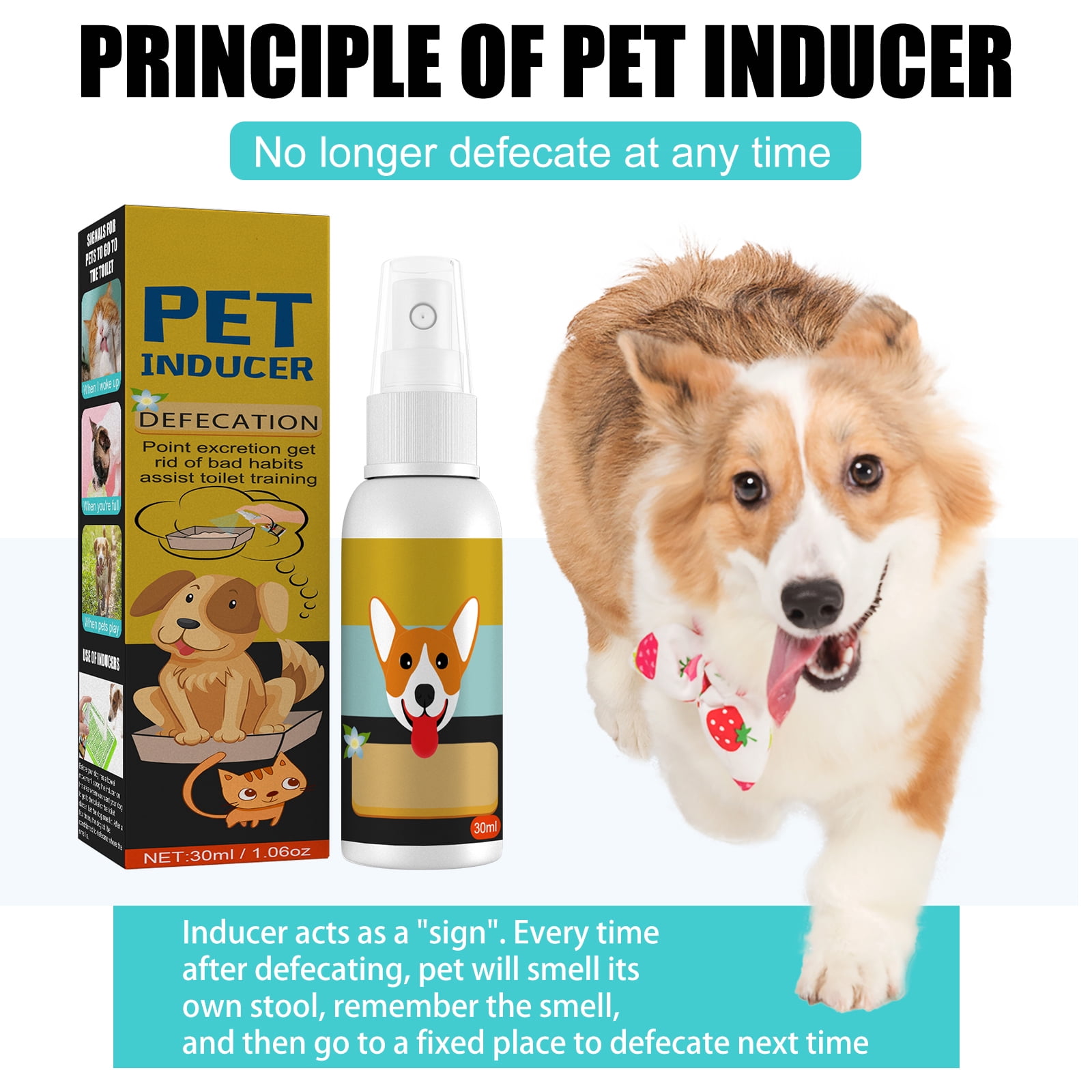 Alvantor Potty Training Spray for Dogs, Attractant Teache for Indoors or Outdoors, 1.06fl.oz