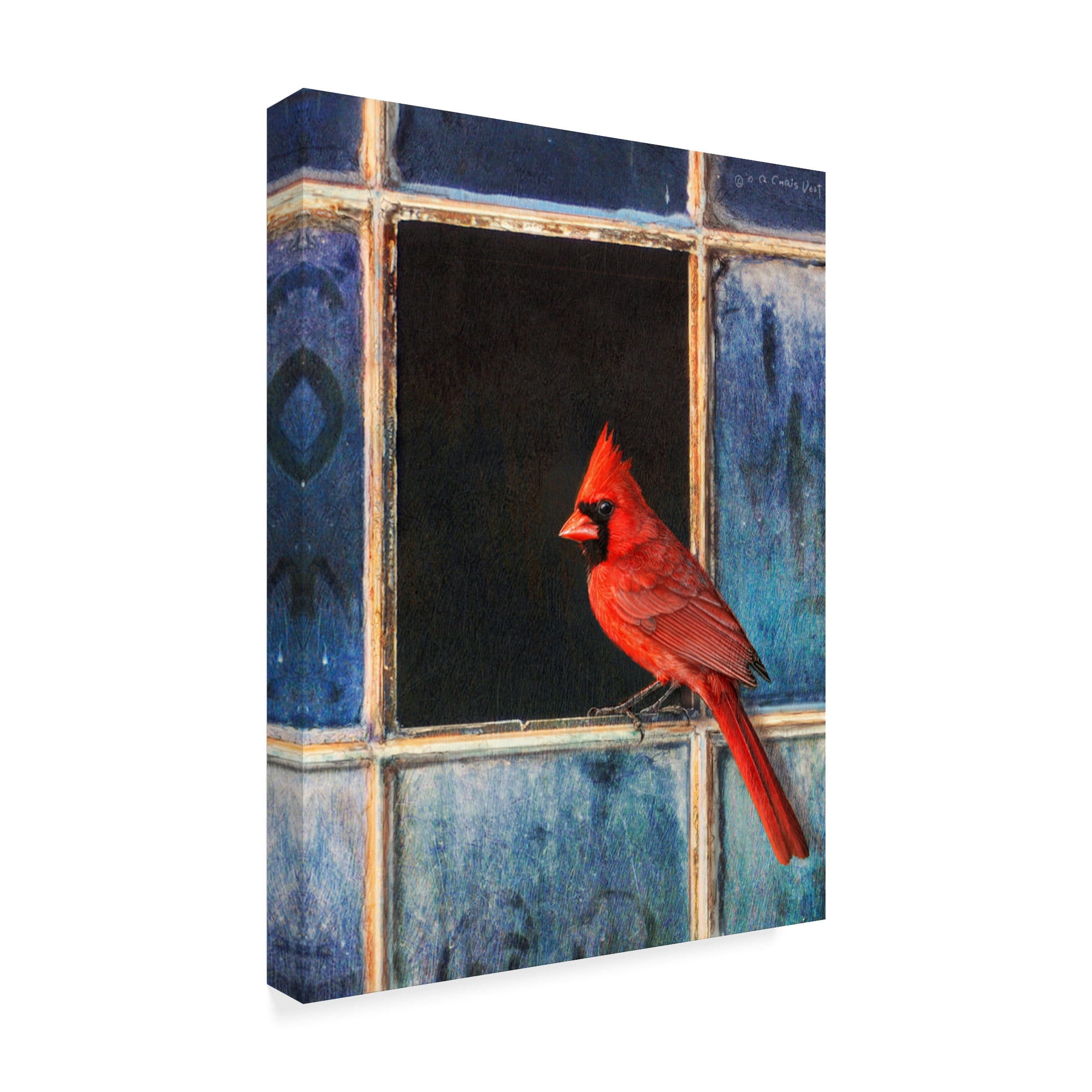 Trademark Fine Art 'Cardinal Window' Canvas Art by Chris Vest