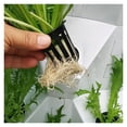 thumbnail image 3 of Hydroponic Grow Kit, Hydroponics Growing System Smart Hydroponics Vertical Garden Grow Kit Pineapple Tower Indoor Outdoor For Planting Herb Vegetables Fruits ,Easy to Use, 3 of 6