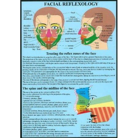 Réflexologie faciale (Affiche)